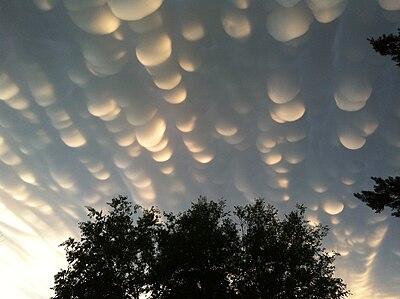 Mammatus clouds over Saskatchewan