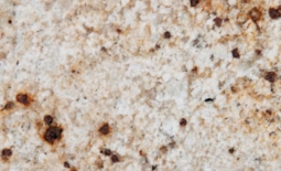 Colonial Gold Granite