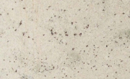 Colonial White Granite