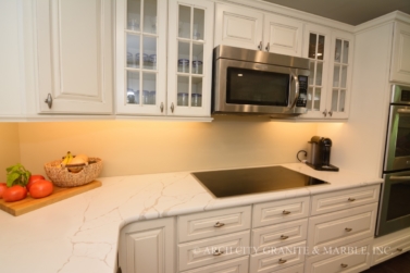 Glass Cook-Top with Quartz Counters in illinois